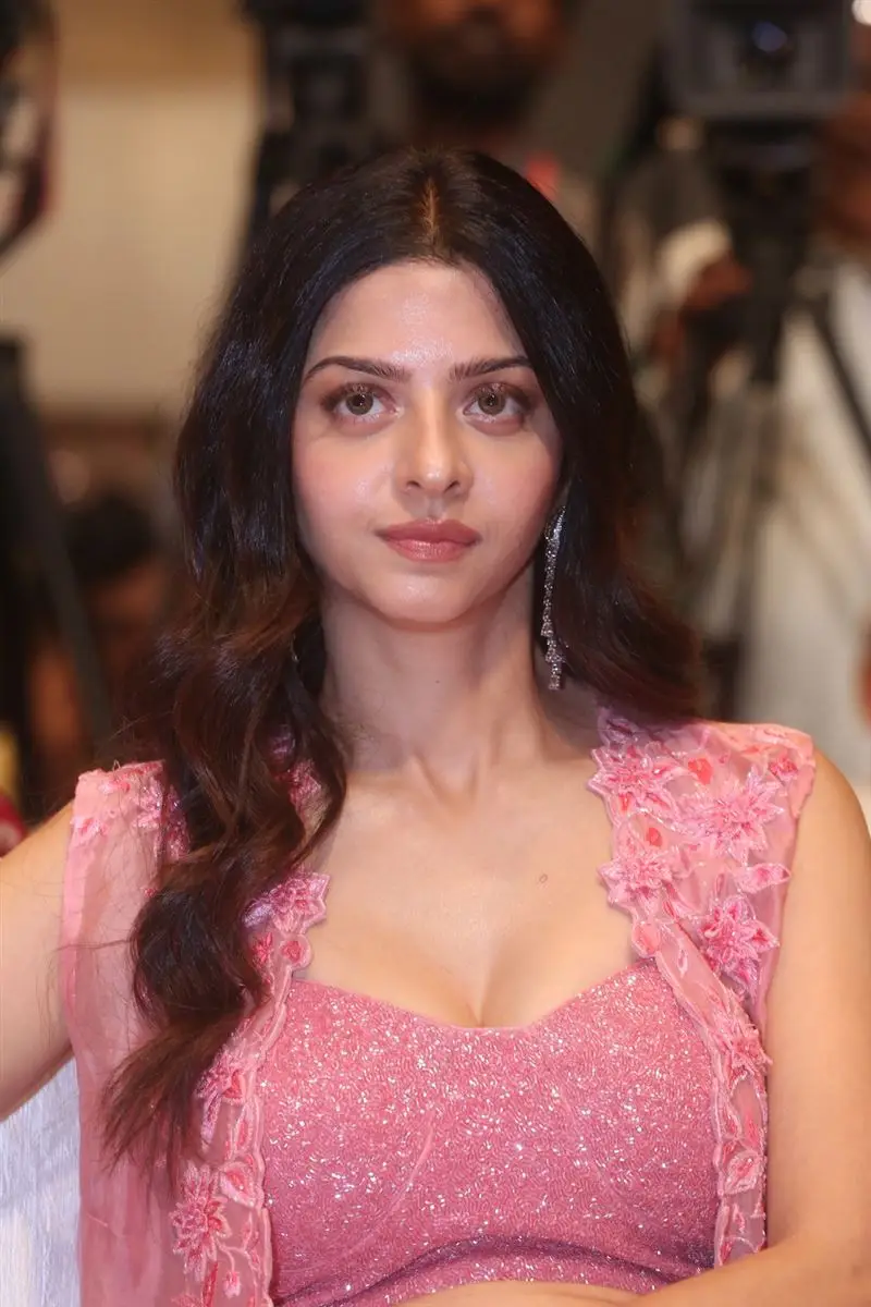 VEDHIKA STILLS IN PINK LEHENGA CHOLI